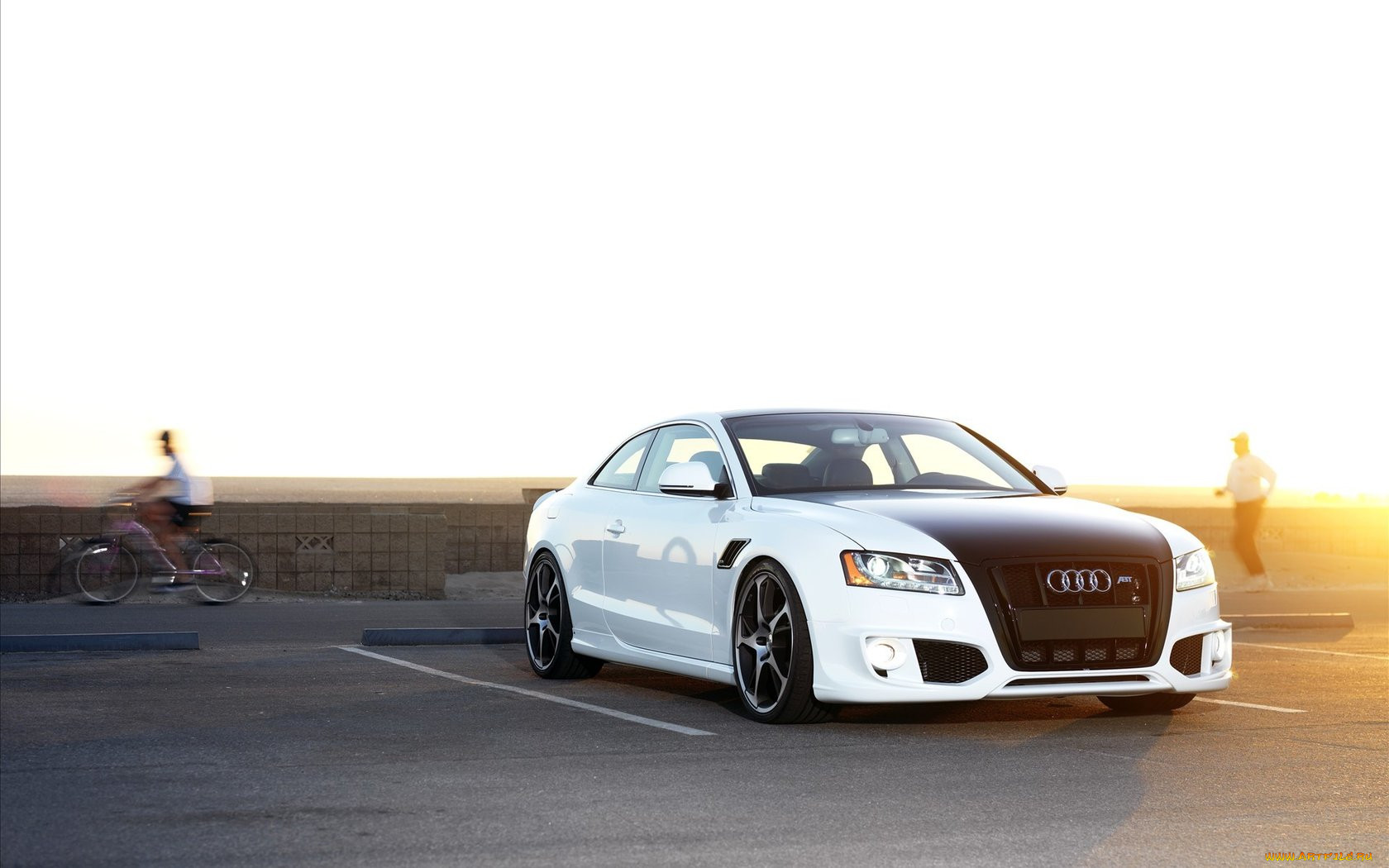 audi, 